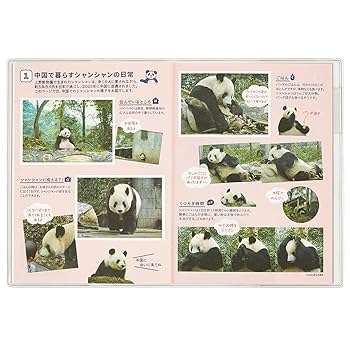 ⭐︎シャンシャンです、5本⭐︎ ⭐︎シャンシャンです、5本⭐︎ 毎日パンダの本