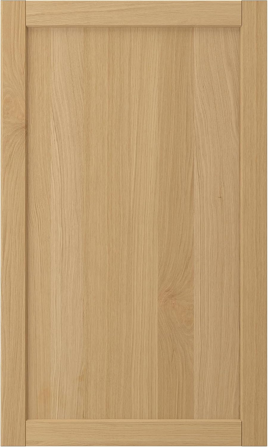 FORSBACKA Door, oak, 60x100 cm