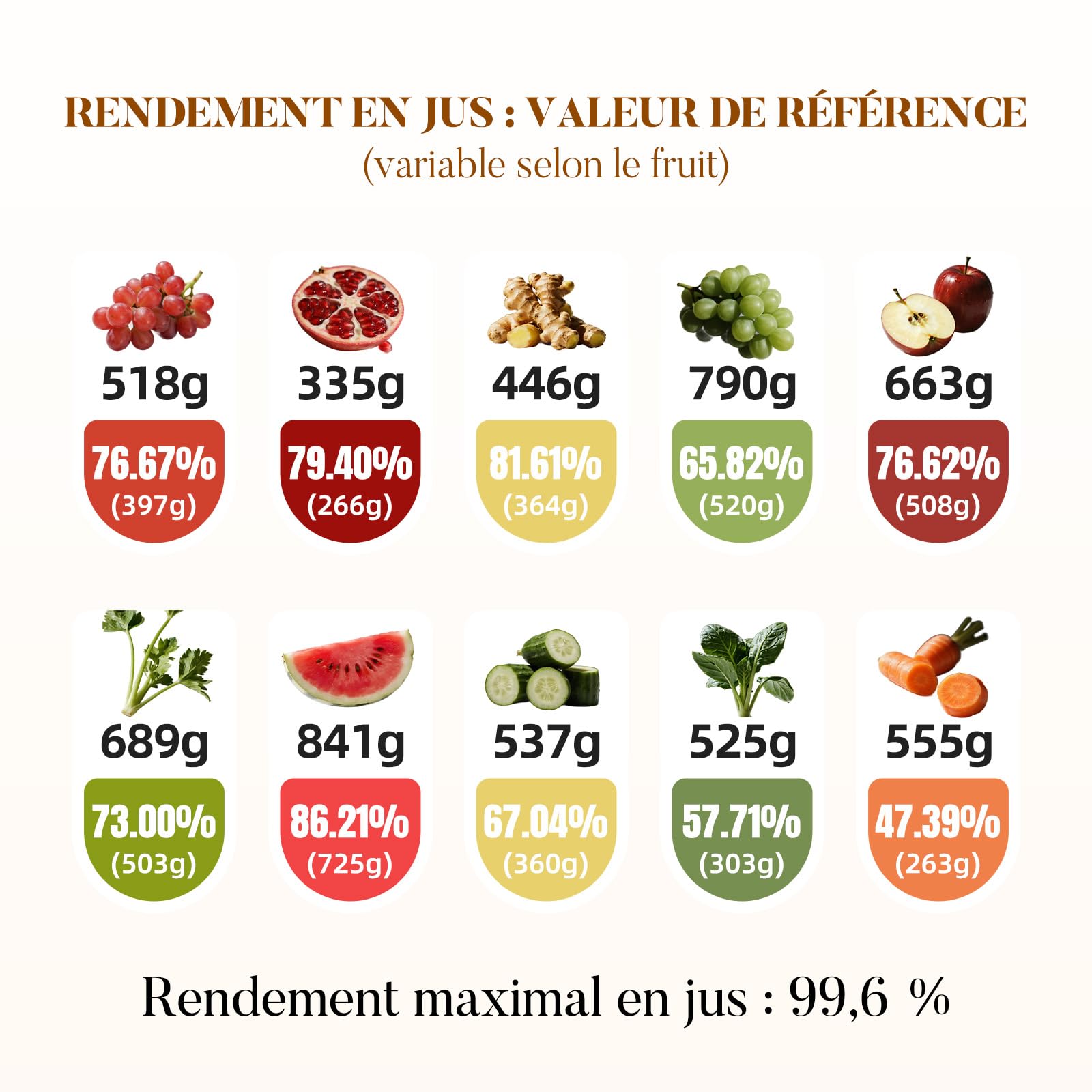 Extracteur de Jus Slow Juicer 130mm 1,9L 250W Marche Avant/Arrière Noir Mat