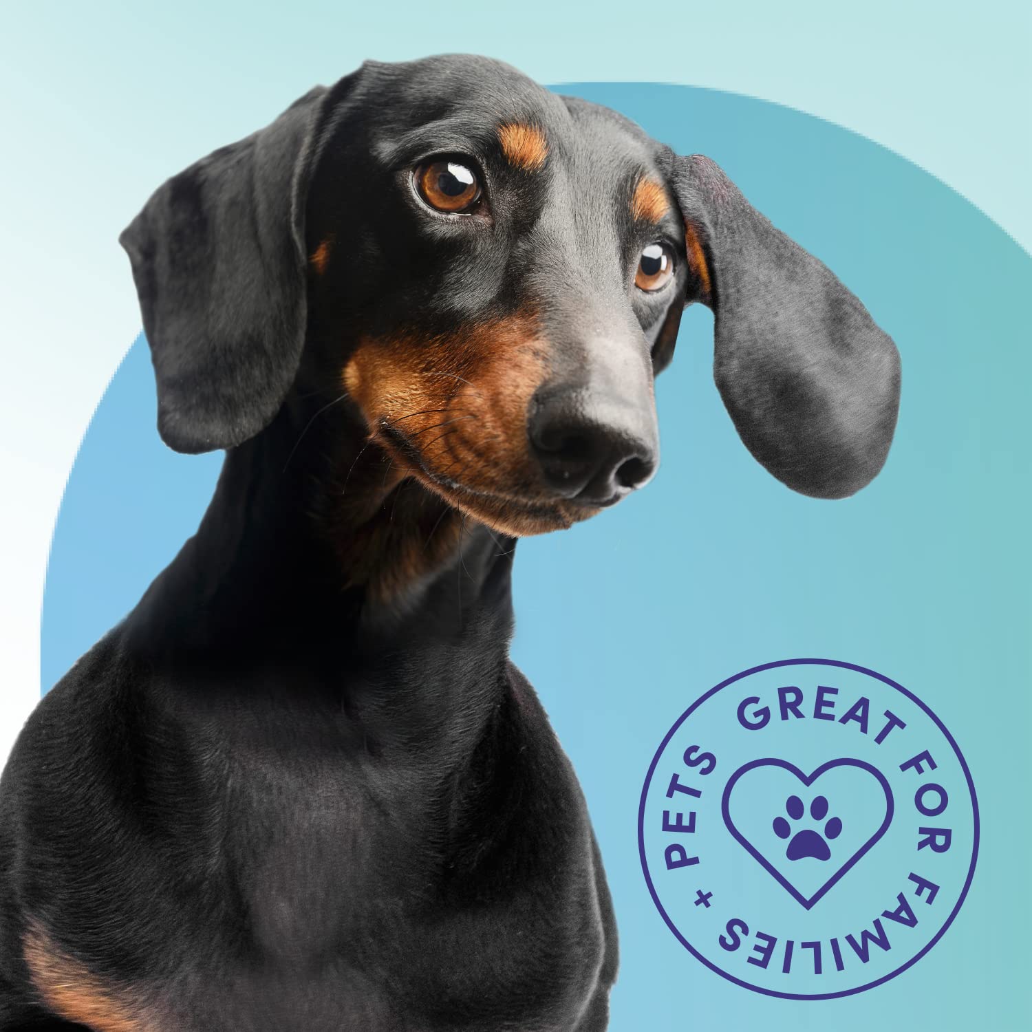 Bioesque Urine Neutralizer, PetFriendly Natural