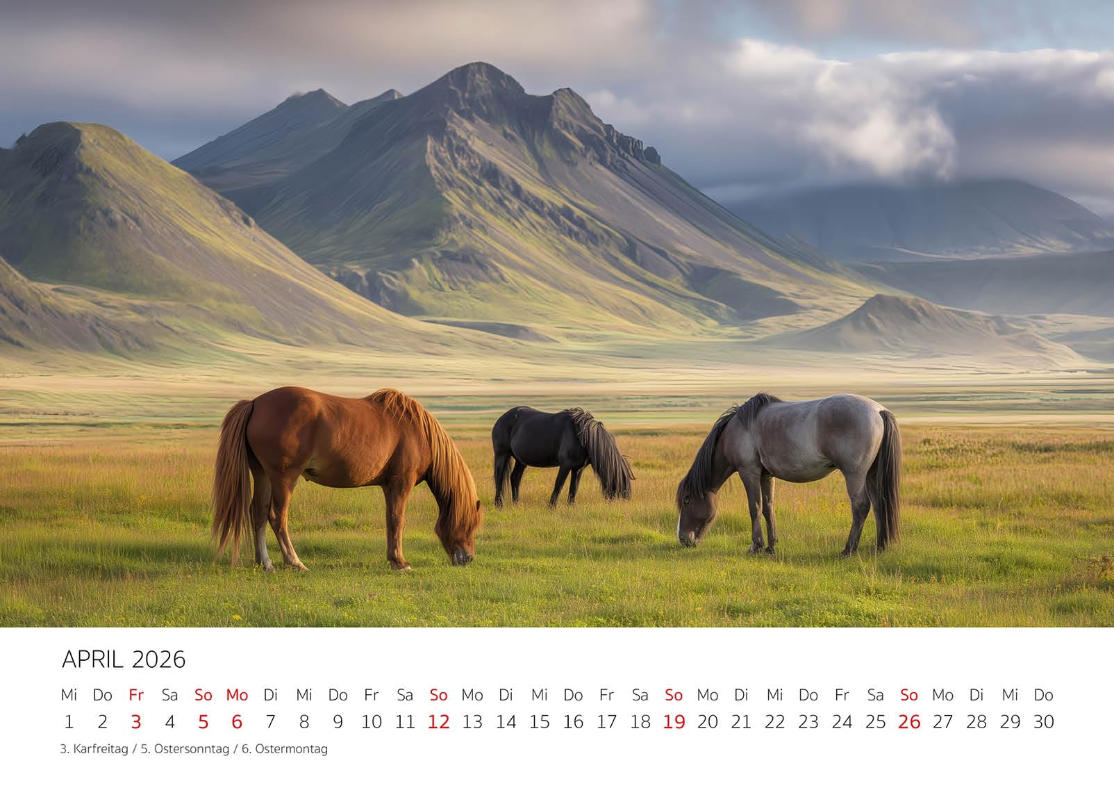 Edition Seidel Premium Kalender Wild und frei Islandpferde 2026 Format DIN A3 Wandkalender Pferdekalender Isländer Island Tiere Pony Stute Hengst Fohlen