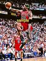 デニスロッドマン 直筆サイン入りフォト スーパーSALE】NBA デニス・ロッドマン 直筆サイン - メルカリ