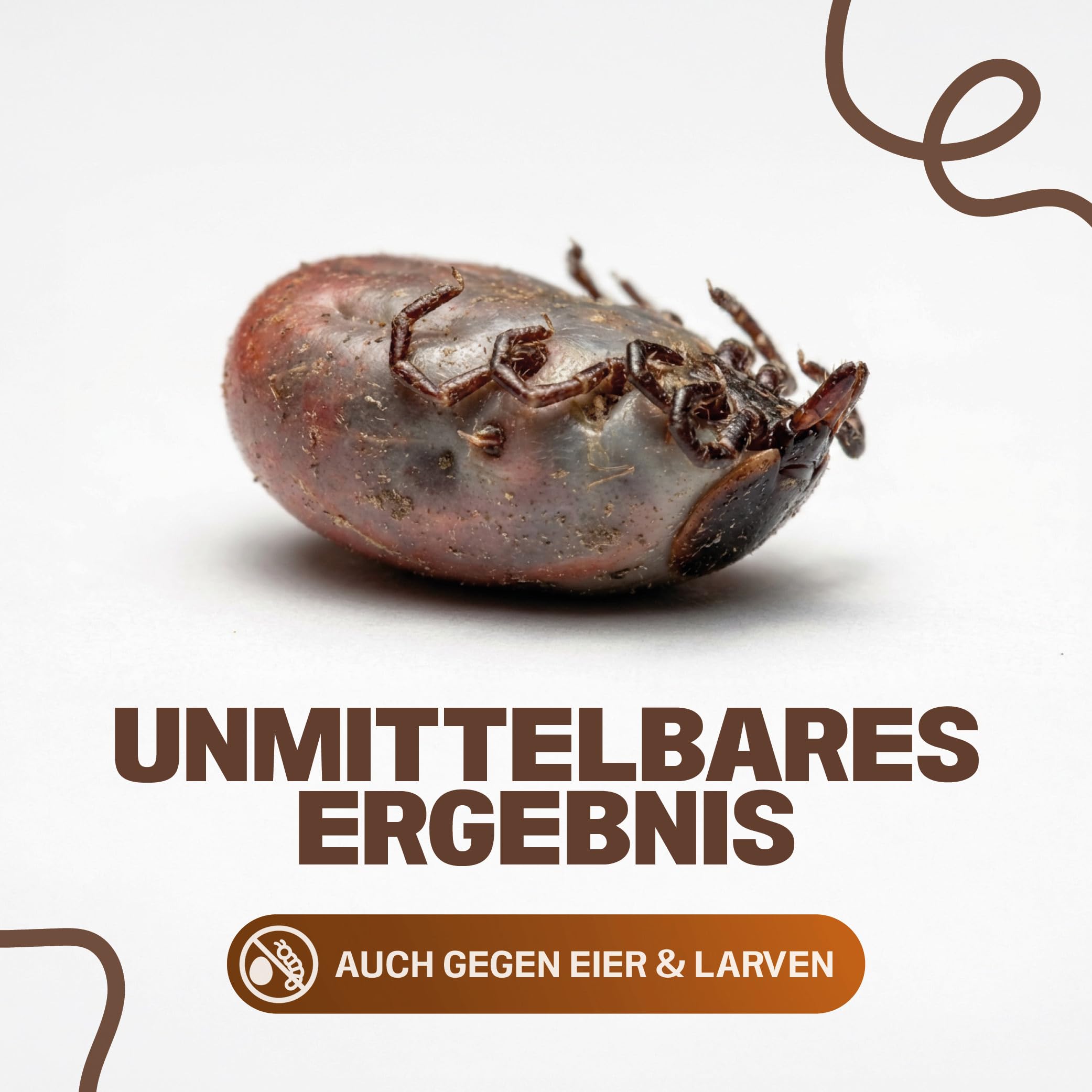 INSIGO Zecken Spray 1L Sprühflasche - Zeckenmittel mit mechanischer Wirkung - Effektive Abwehr für Zecken und Larven - Zecken Spray mit Sofortwirkung