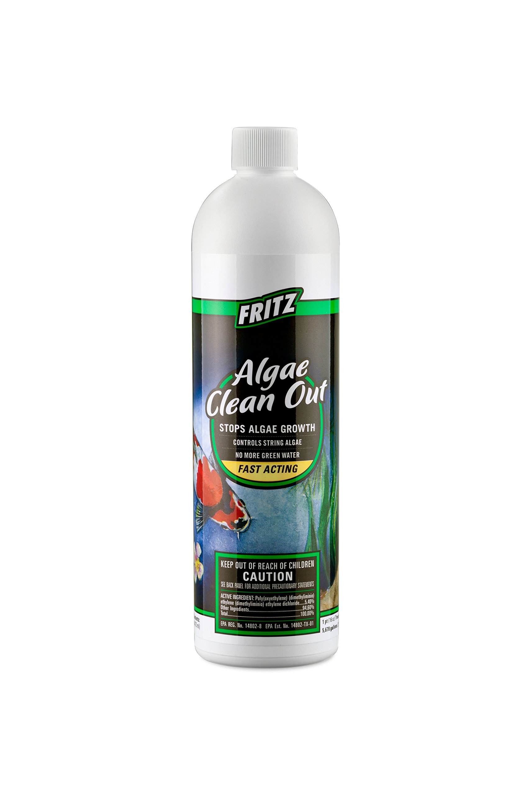 Fritz Aquatics Pond - Algae Clean Out Algaecide - 16oz