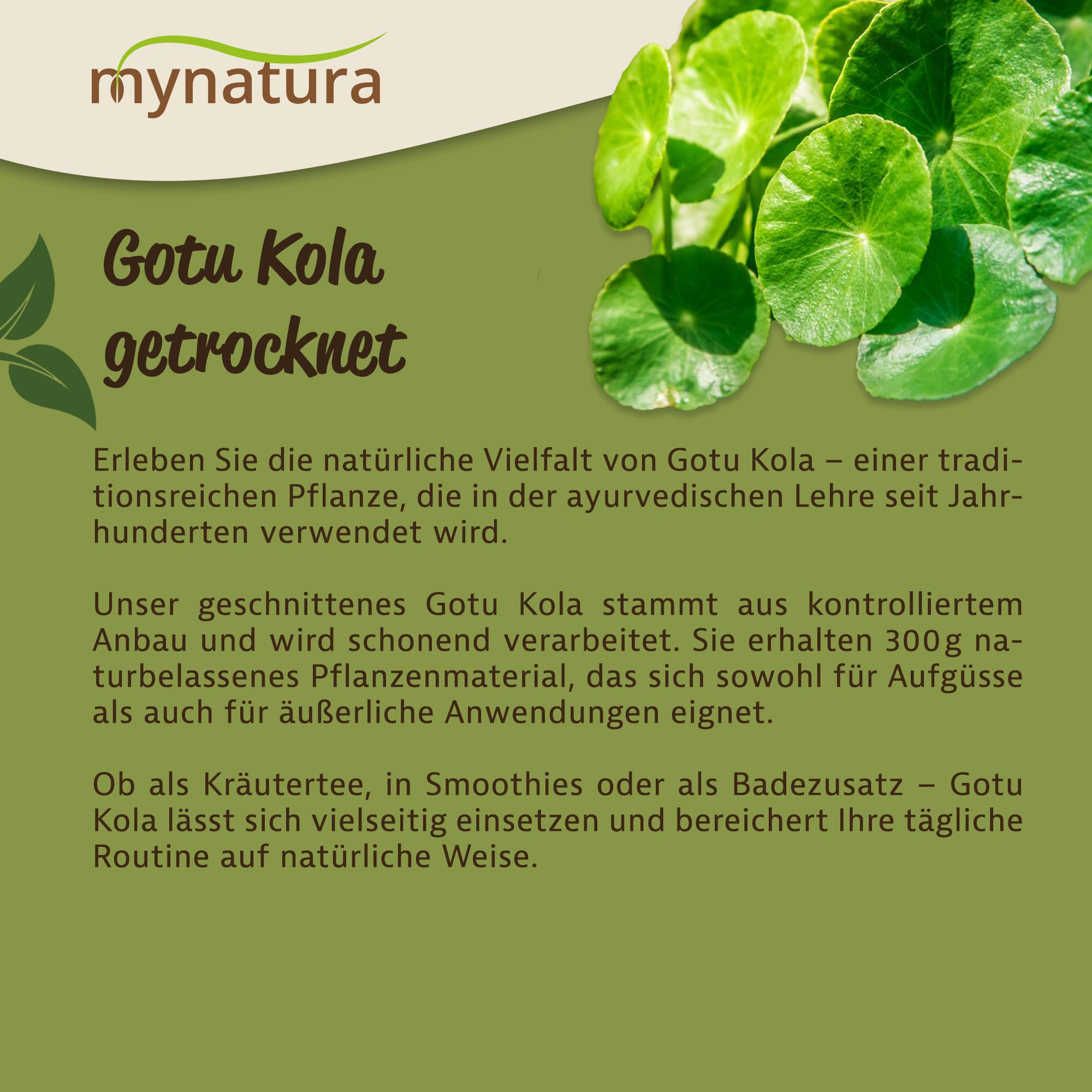 Mynatura Bio Gotu Kola Pulver | Gotu Kola | ayurvedisch | Vegan | Konzentration (3x300g)
