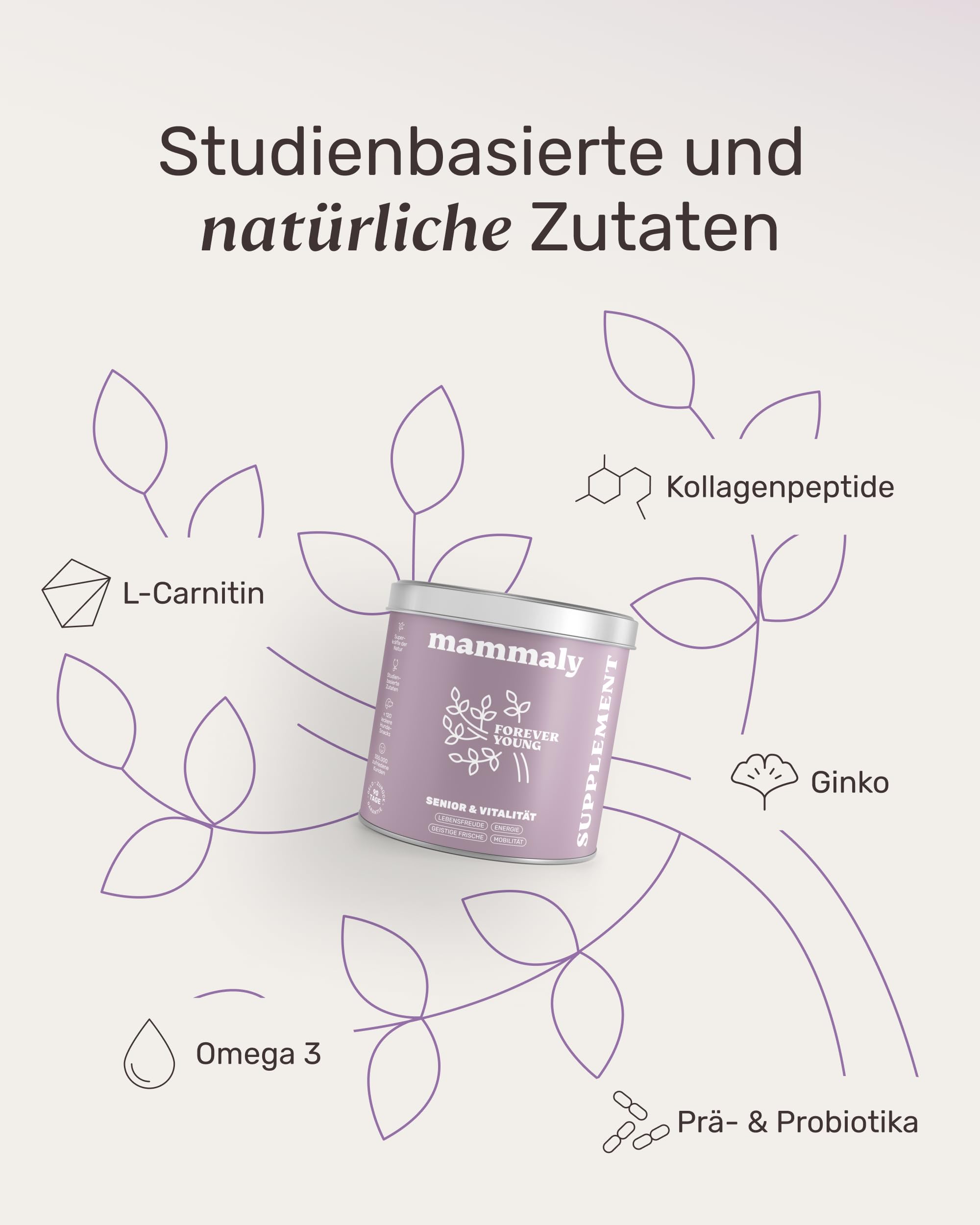 6-in-1 Vital-Komplex für Senior Hunde - Forever Young 120 Snacks (350g) von mammaly - Mit Ginko, Kurkuma, Bierhefe, Kollagen, L-Carnitin & Mikroalgen für den Alten Hund