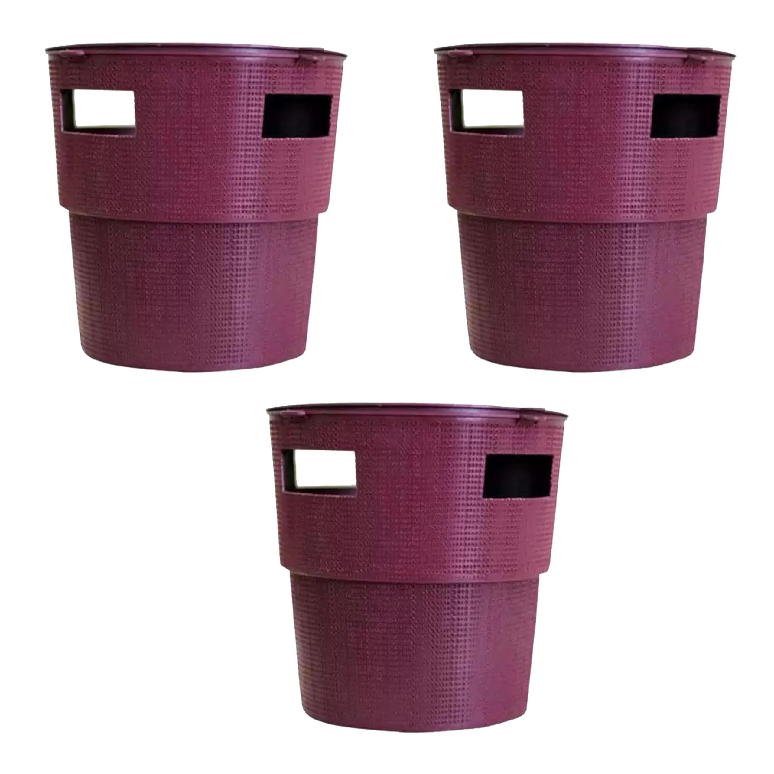 Iagrifarm Coconut Trap 5 Lure and 5 Bucket for Controlling Red Palm Weevil (Rhynchophorus ferrugineus)-image-13