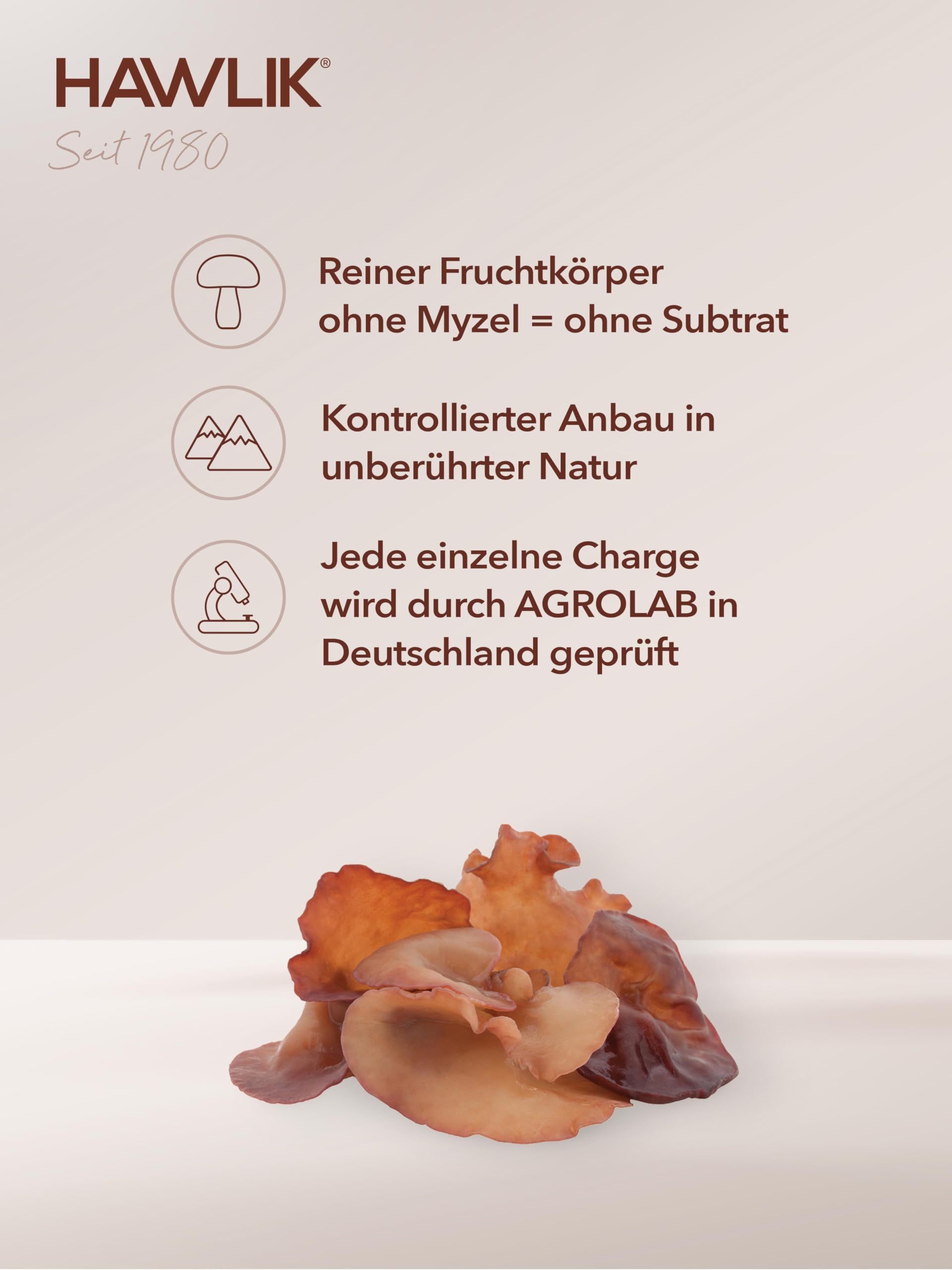 HAWLIK Vitalpilze Auricularia Extrakt Kapseln - 240 Kapseln - Mit Vitamin C - Natürlicher Anbau - Vegan - Zuckerrohr-Dose