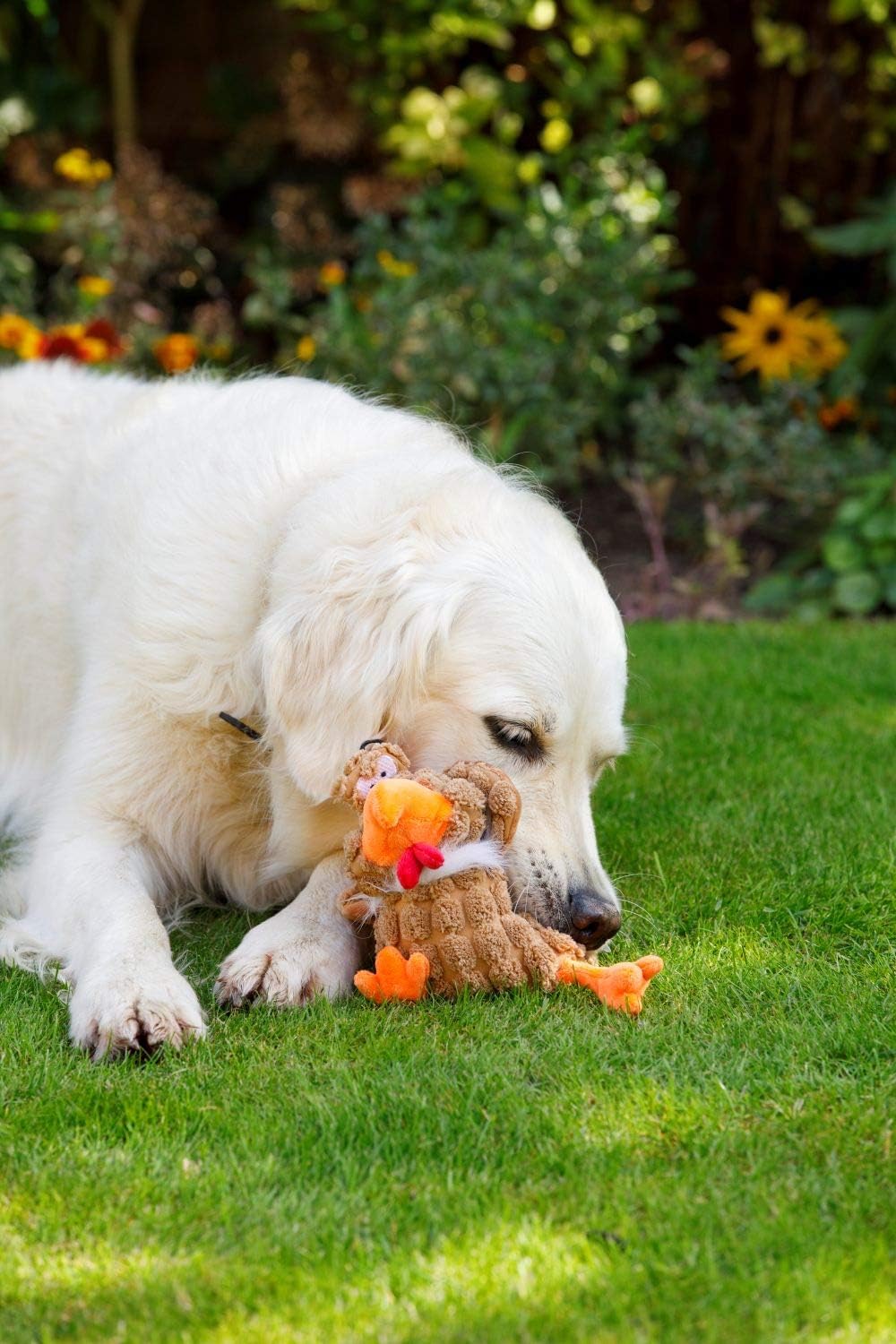 Petface Farmyard Buddies Chunky Chicken Dog Toy