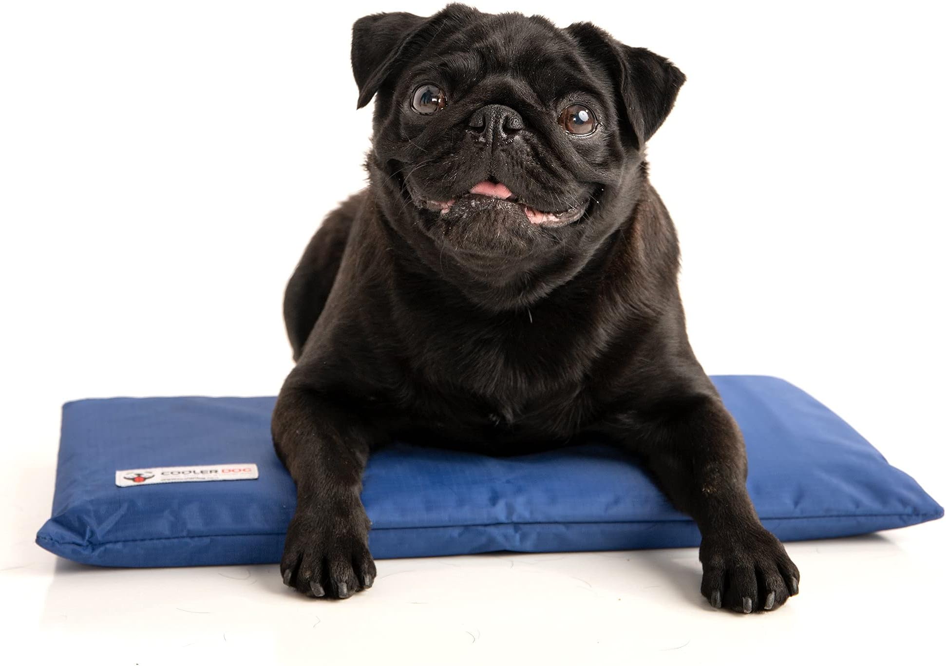 CoolerDog Dog Cooling Pad Dog Cooling Products Hydro