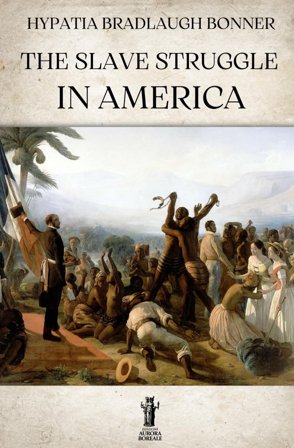 The Slave Struggle in America