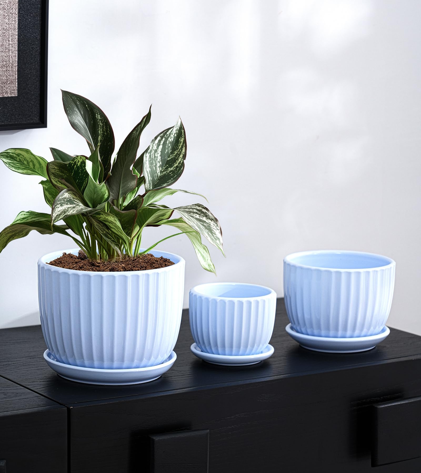 Amazon.co.jp: 植木鉢、水切り穴付きセラミックポット&ソーサー3個