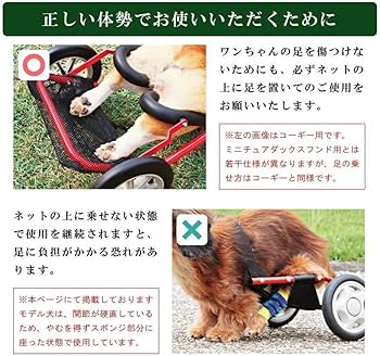 Amazon | パレットライフ 犬用車椅子 ミニチュアダックス専用 ドッグ