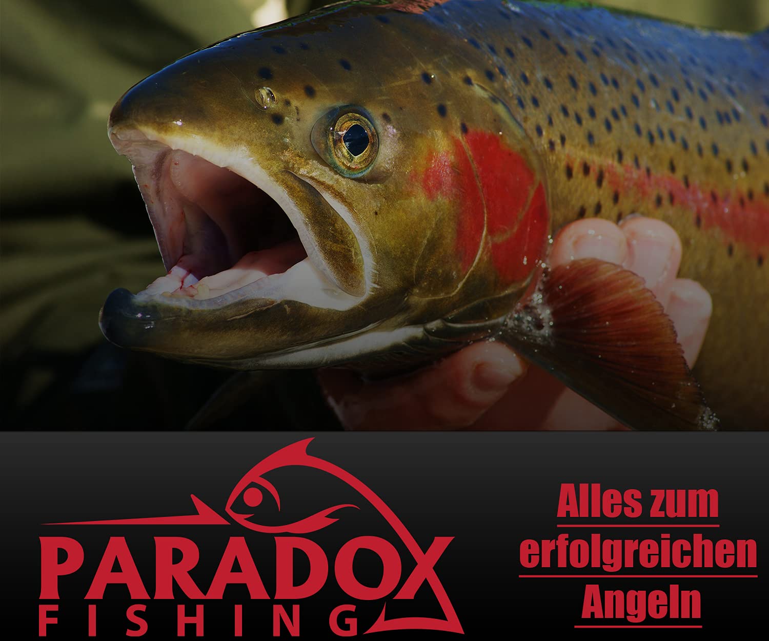 Set Esche In Gomma Per Trota – 72 Pezzi AKS Fishing, Colori E Modelli Vari (Slay 38mm, Trout Dagger 60mm) - Foto 3