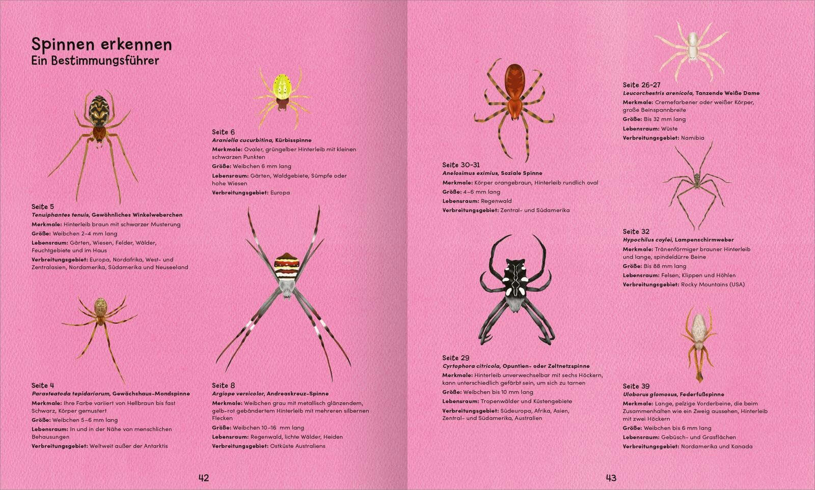 Wunderwelt der Spinnennetze: Ein besonderes Kindersachbuch ab 8 Jahren über Spinnen und ihre faszinierenden Netze – mit Silberfolie