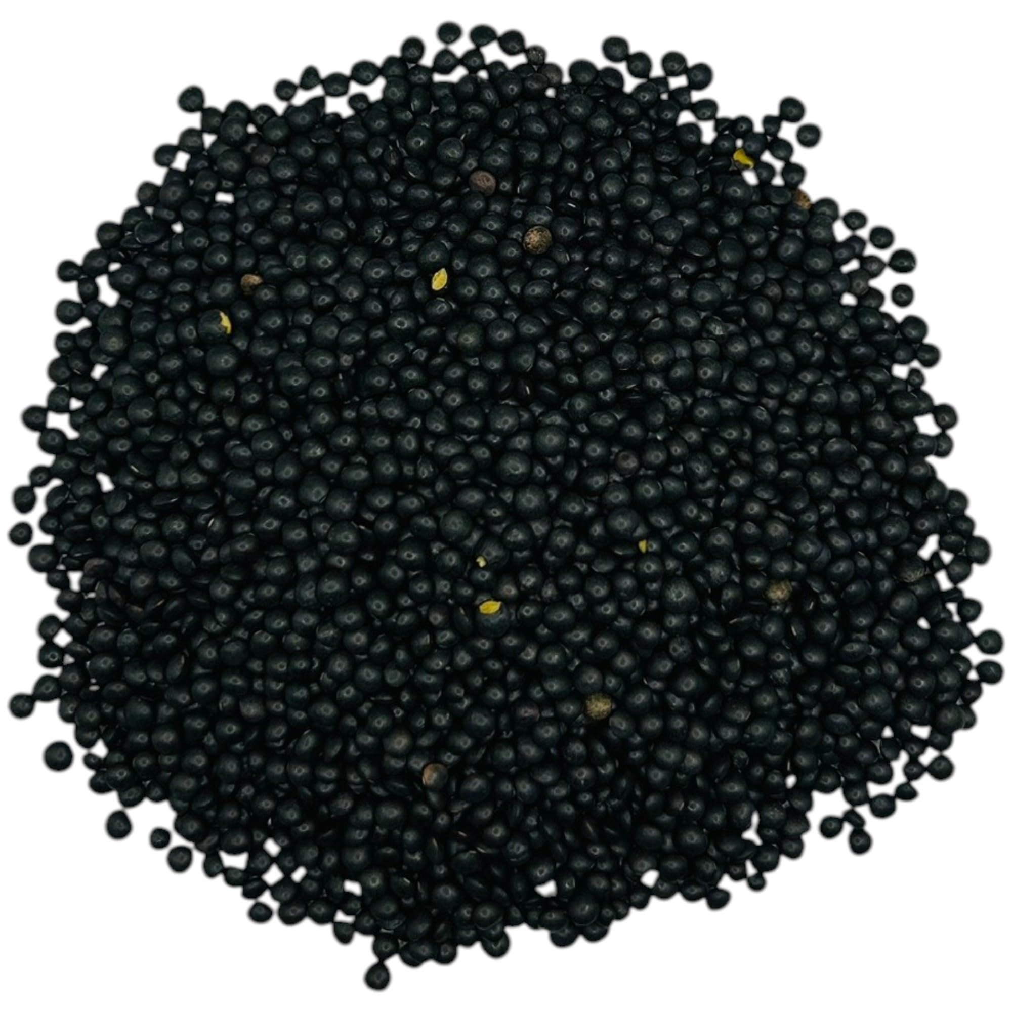 Lentejas Beluga Negras Premium 25g - 1.95Kg 100% Naturales Lens culinaris (1950 gramos)