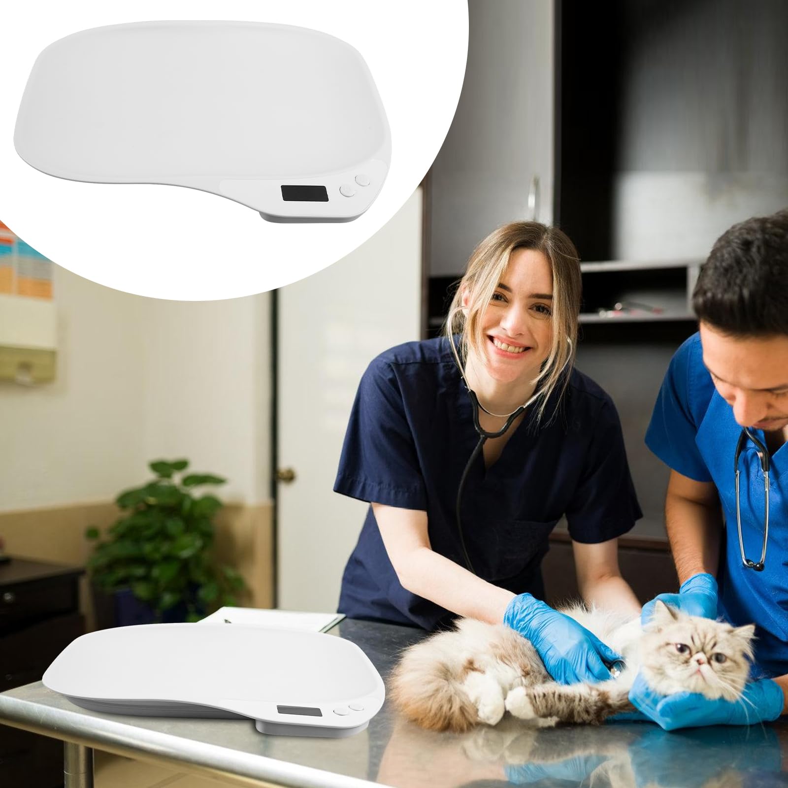 BORDEAG Balance pour Animaux et Pèse-Personne Numérique