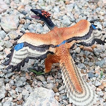 Amazon.co.jp: 始祖鳥 アーケオプテリクス 模型 古代恐竜