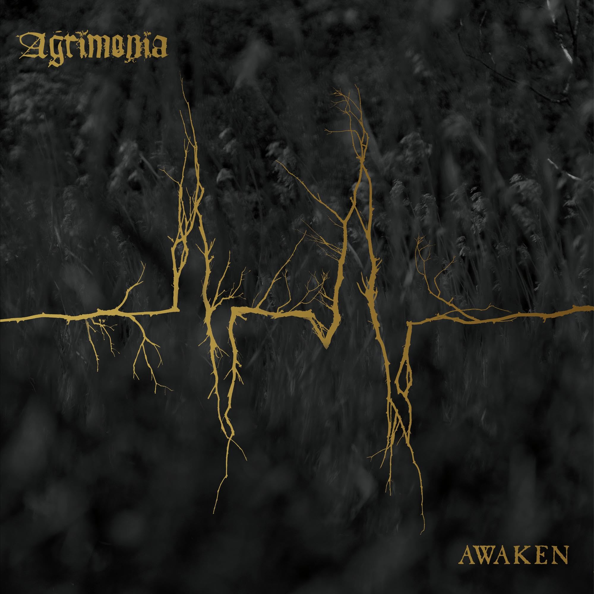 Agrimonia Awaken 2018 CD Album