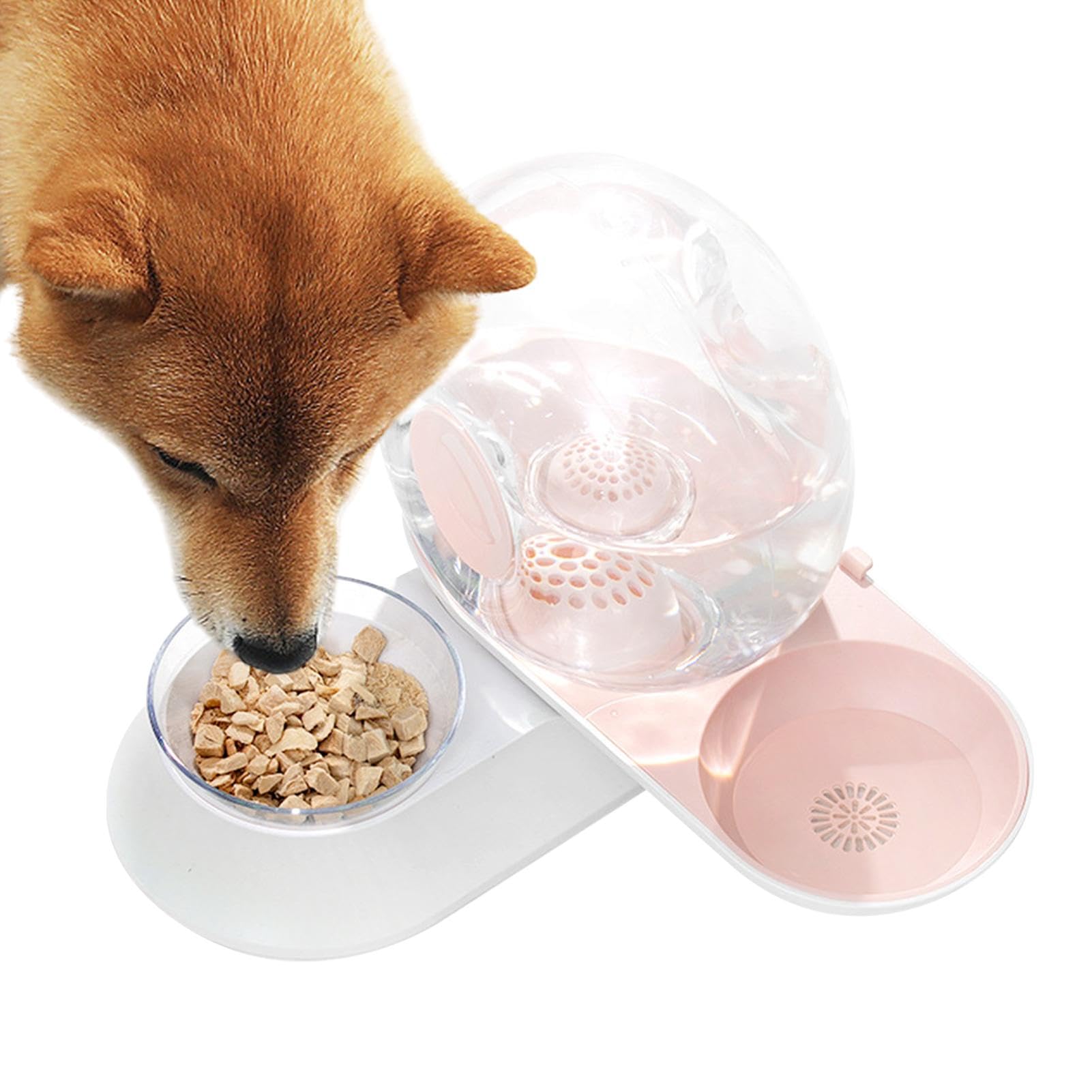 Dispensatore d'Acqua per Gatti Bevitore a Sifone Antirovesciamento con per | Dispenser Automatico Acqua per Cani Per Cuccioli Conigli E Tutte Le Razze