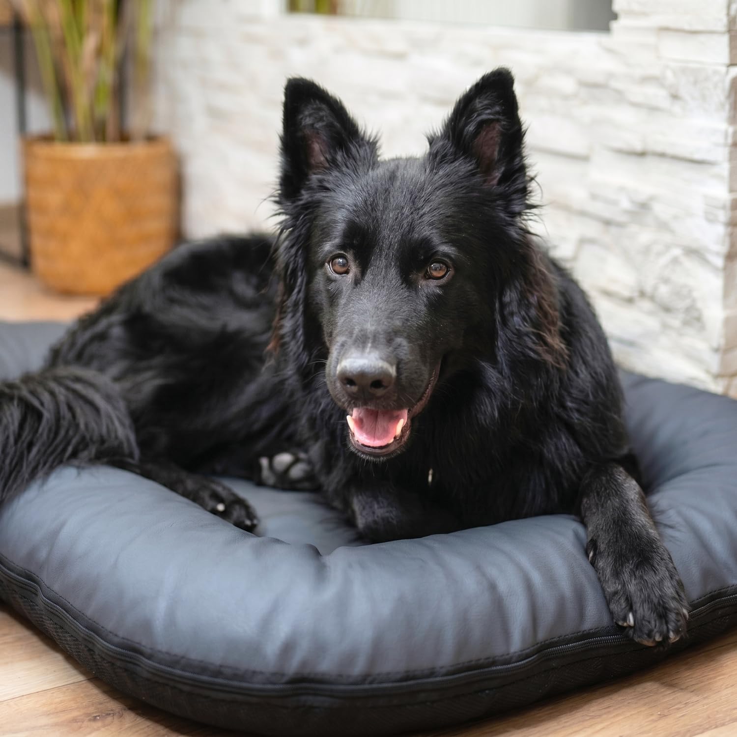 4L Textil Hundebett Kunstleder Hundematratze Hundekissen große Hunde | Wasserabweisend | Abwischbar | Robust