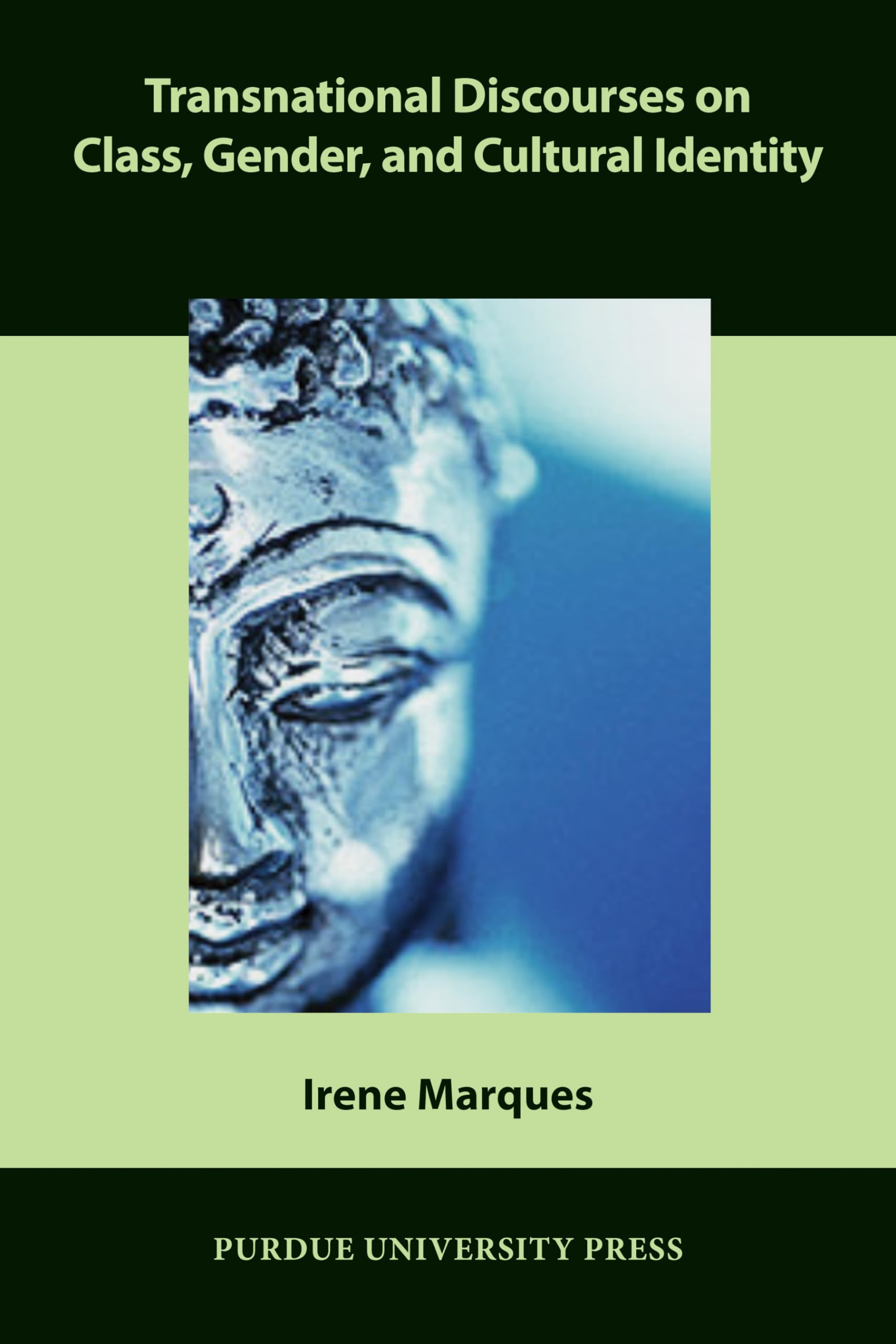 Buy Transnational Discourses on Class, Gender, and Cultural Identity (Comparative Cultural Studies) — BookShops.in