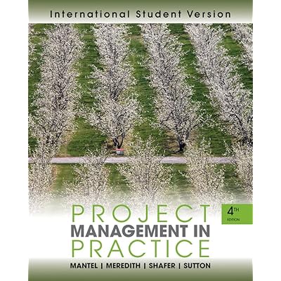 Project Management in Practice