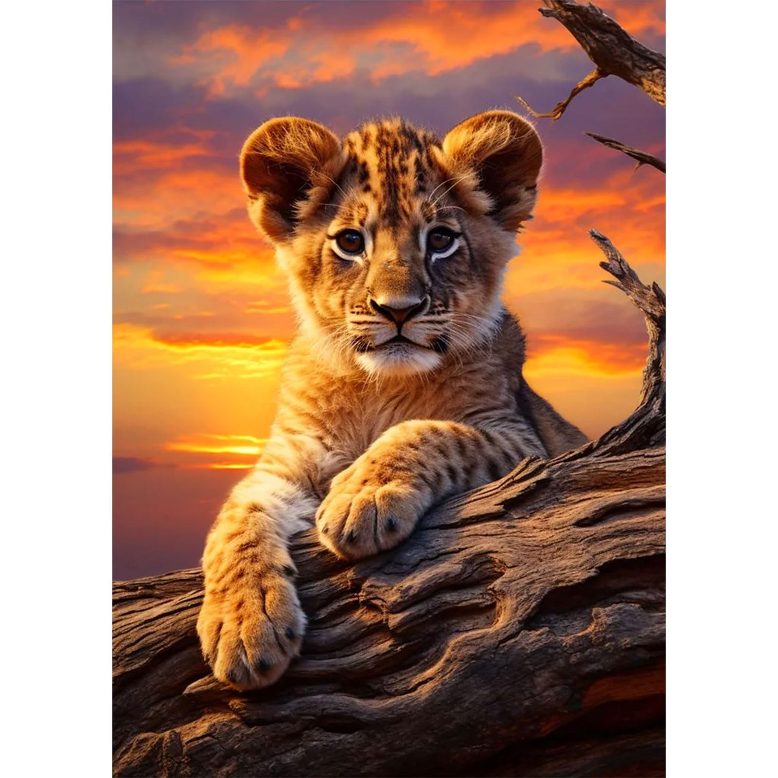 Kit De Peinture Diamant 5D « Trois Tigres » - Dimensions 30x40 Cm, Diamants Pleins, Outils Inclus