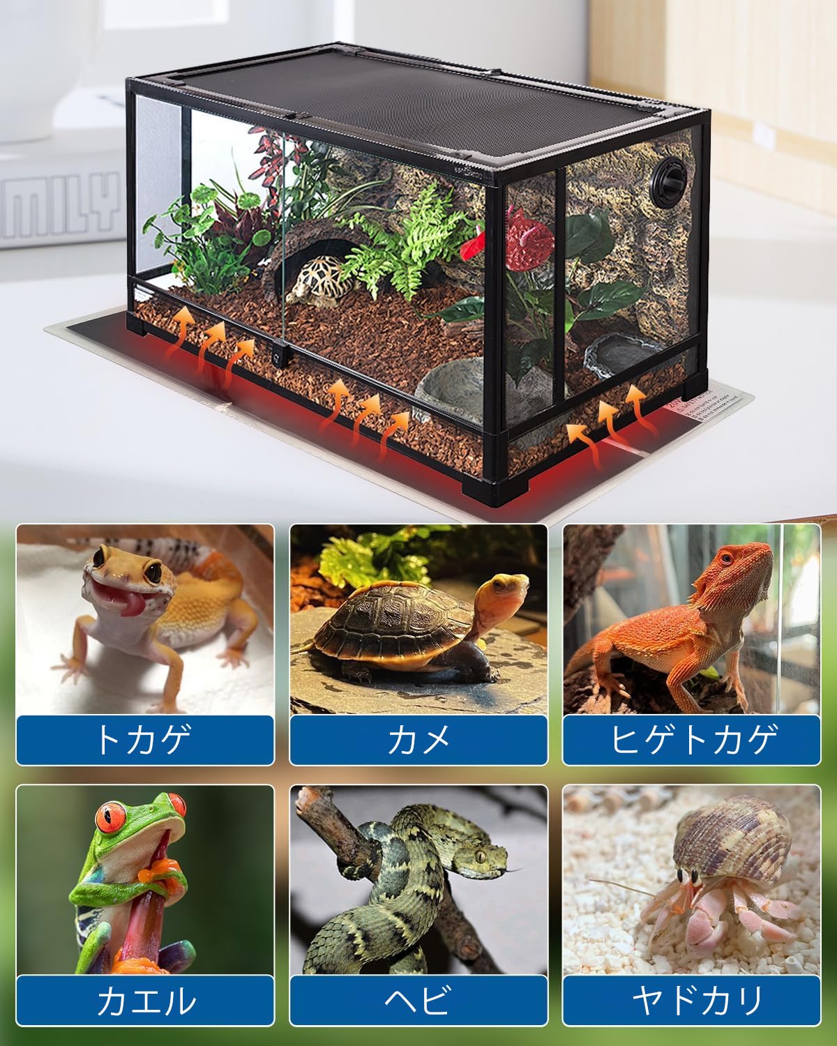 Amazon.co.jp: Modfied 爬虫類シートヒーター ペット用 パネルヒーター
