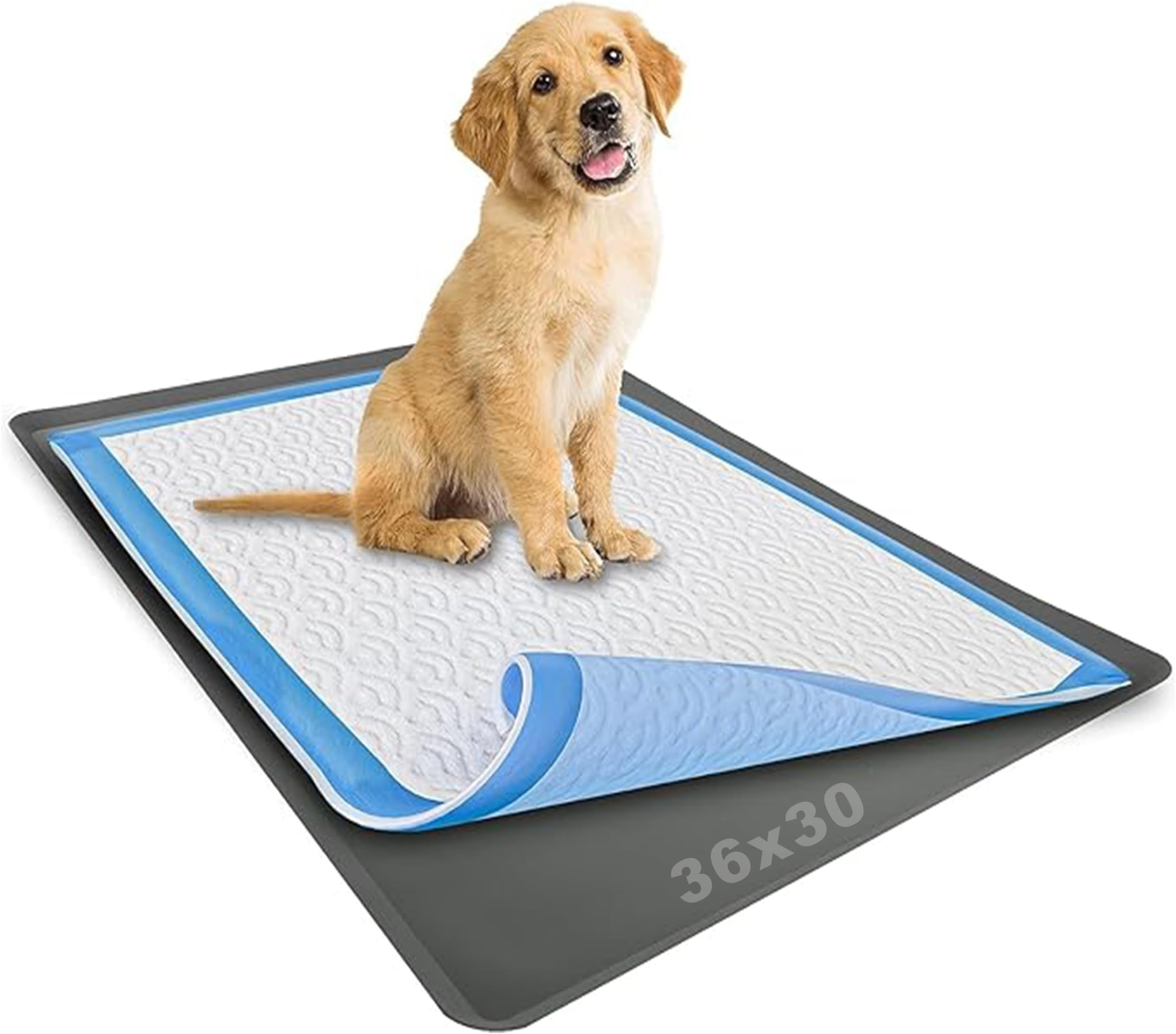 Skywin Dog Pad Holder Tray for 30 x 36 Inches Training Pads (Grey) โ 1 Pack, Silicon Wee Wee Pad Holder, No Spill Pee Pad Holder for Dogs - Easy to Clean and Store Perfect for Dog Potty Tray