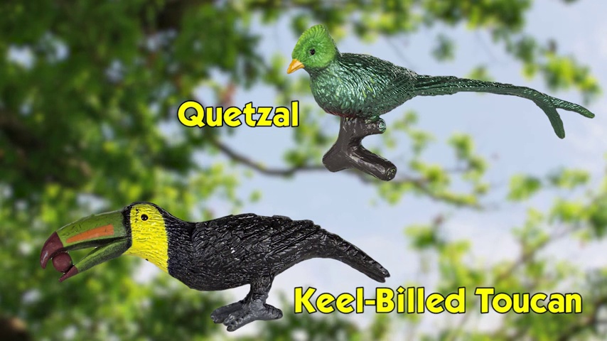 Watch Safari Ltd Exotic Birds TOOB - 11 Different Hand Painted, BPA ...