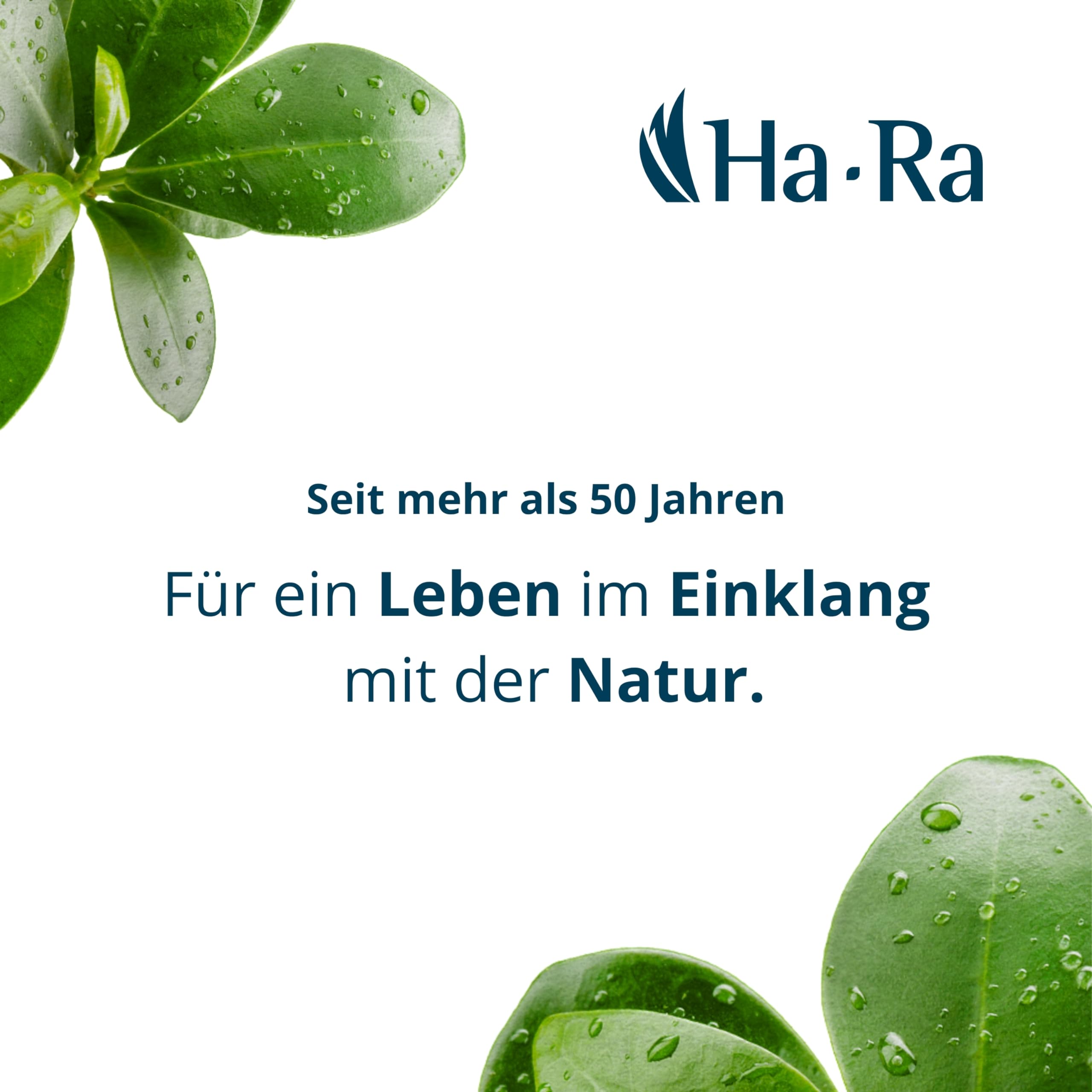 Hans Raab Glas- & Oberflächenreiniger 300 ml + 1L Nachfüllflasche I Universalreiniger-Spray für Haushalt, Garten & Auto I Sparsam, vielseitig & hautfreundlich I rückstandslos & streifenfrei