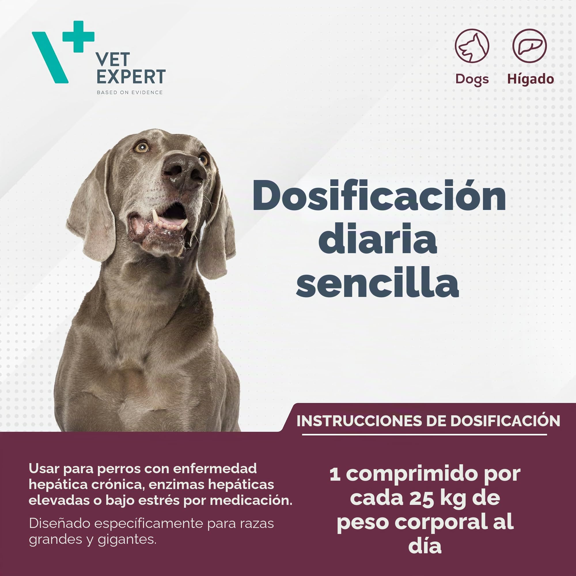Alimento complementario para razas grandes de perros | 40 pastillas | Apoyo a la función hepática | Más de 25 kg de peso corporal | Vet Expert Hepatiale Forte