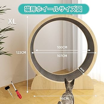 新品 キャットホイール 簡単組み立て Mサイズ ランニングマシン まわし車 Amazon.co.jp: キャットホイール 猫 ランニング マシン 猫回し車