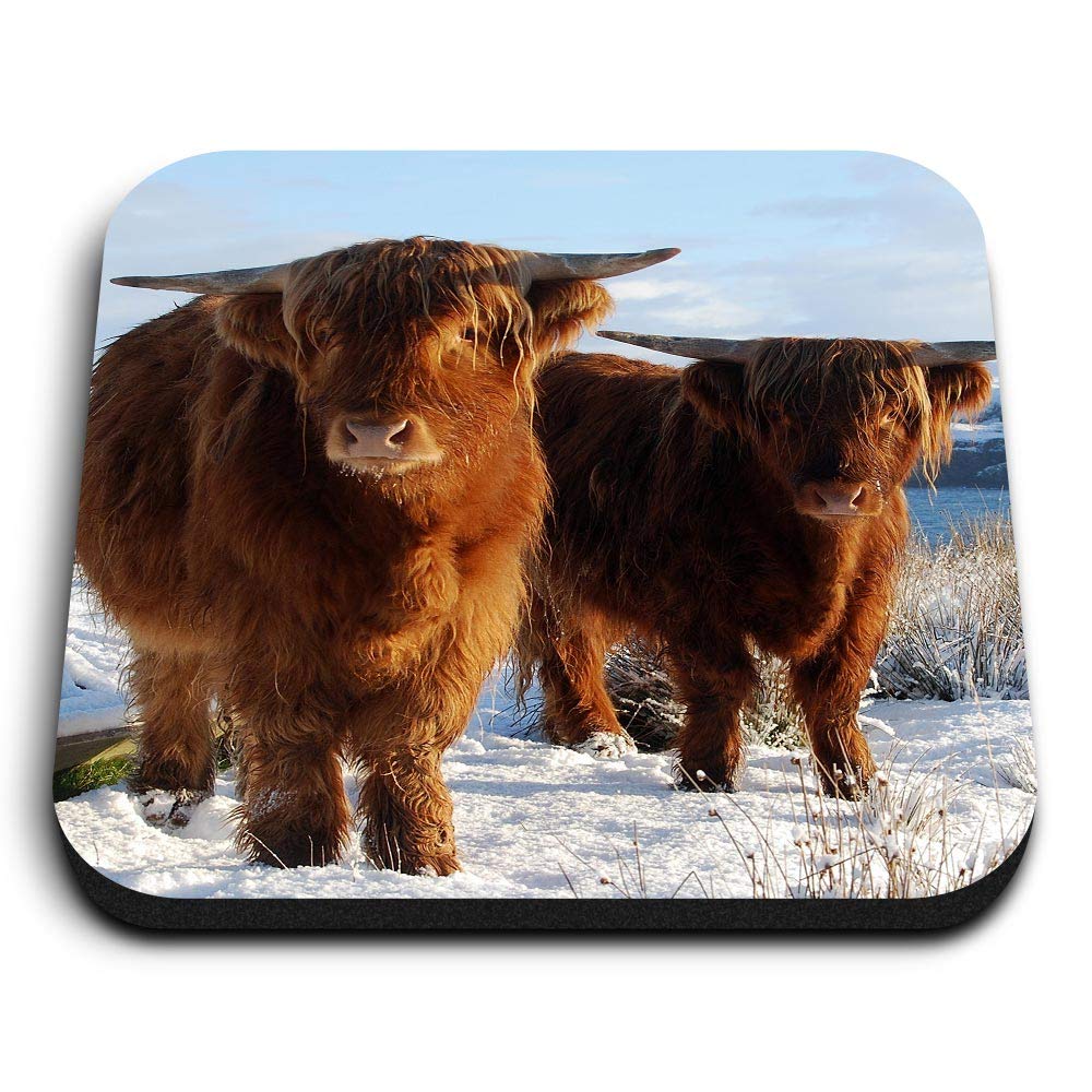 Destination Vinyl Ltd Multicolor 1 X Square Mdf Fridge Magnet - Highland Cow Pair Scotland Uk 45331