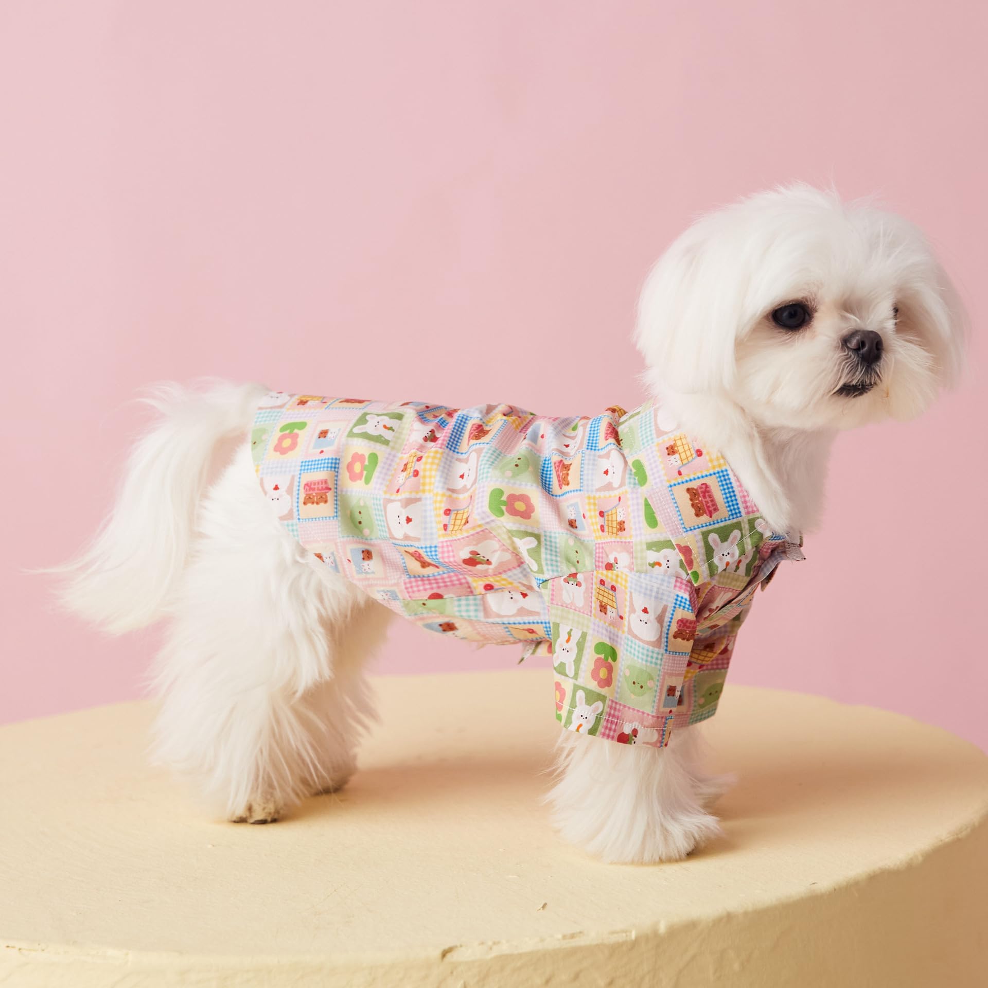 Amazon | UGYMSIA子犬犬服、マルチーズ服、ヨーキー、シュナウザー