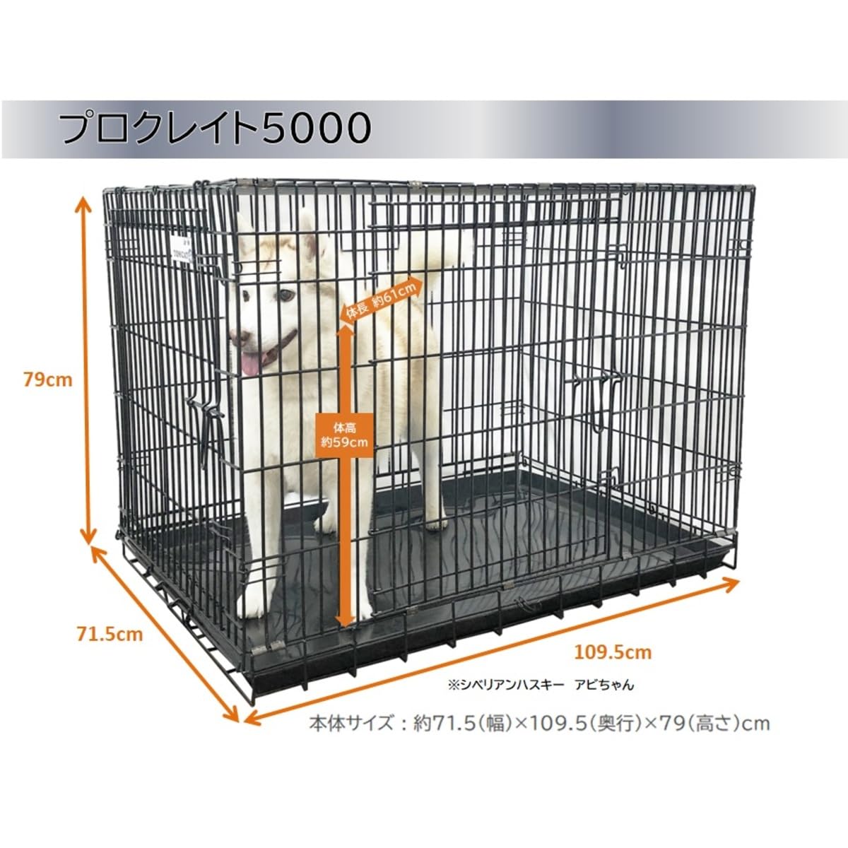 トムキャット プロクレイト 6000（旧最強ｸﾚｲﾄ6000） Amazon | トム