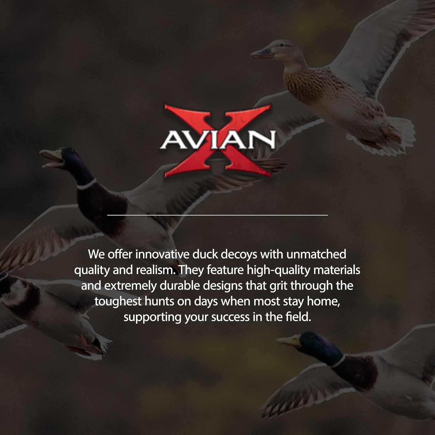 Avian-X AXP Specklebelly Decoy Fusion Pack with Lasting Finish and Custom Fitted Bag for Hunting Use, Outdoor Sports, and Recreation, 12 Pack