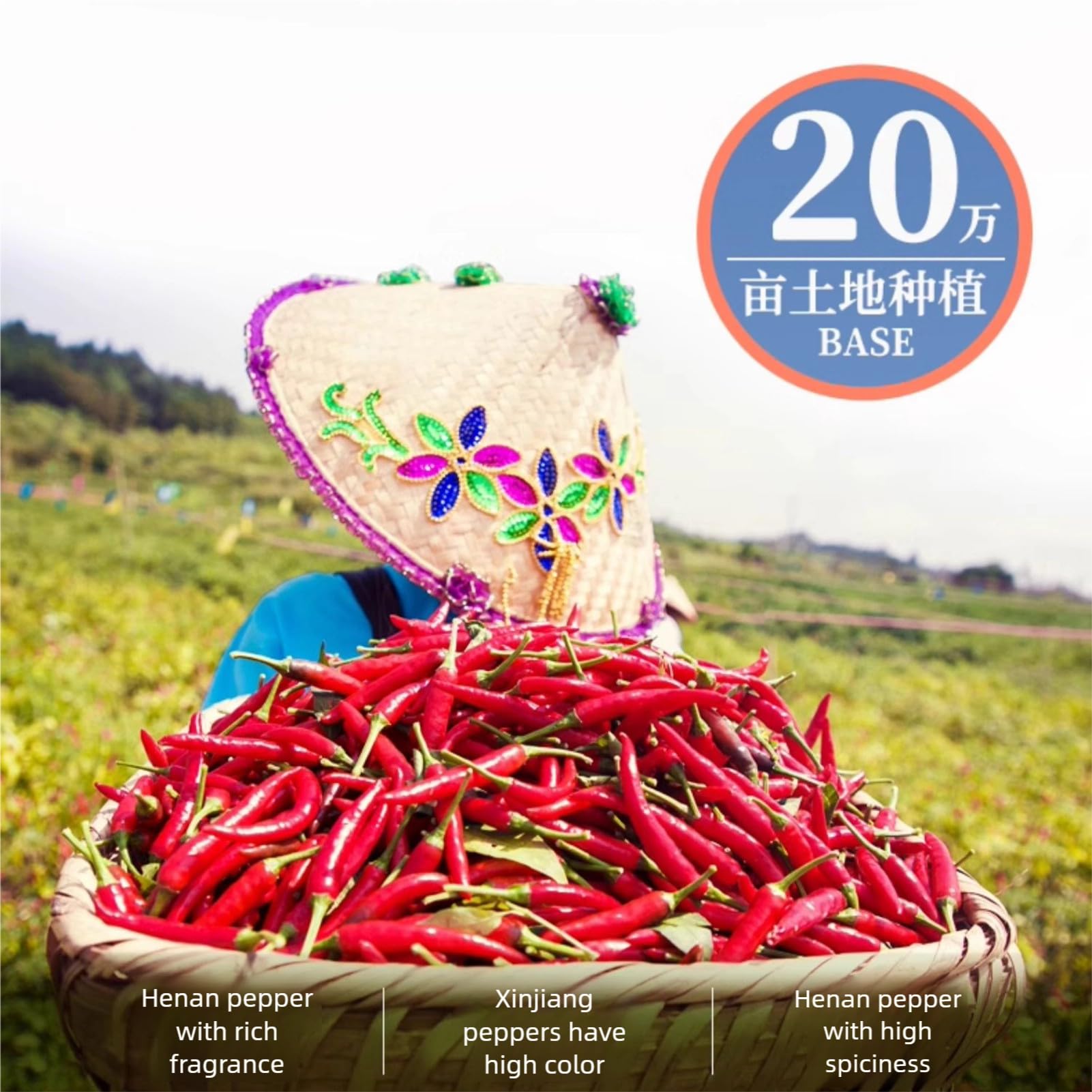 BaiLiSnacky Chile En Trozos Triturado Orgánico100g - Natural Chiles Triturados Especia Condimento Parilla Sabor Intenso Y Picante