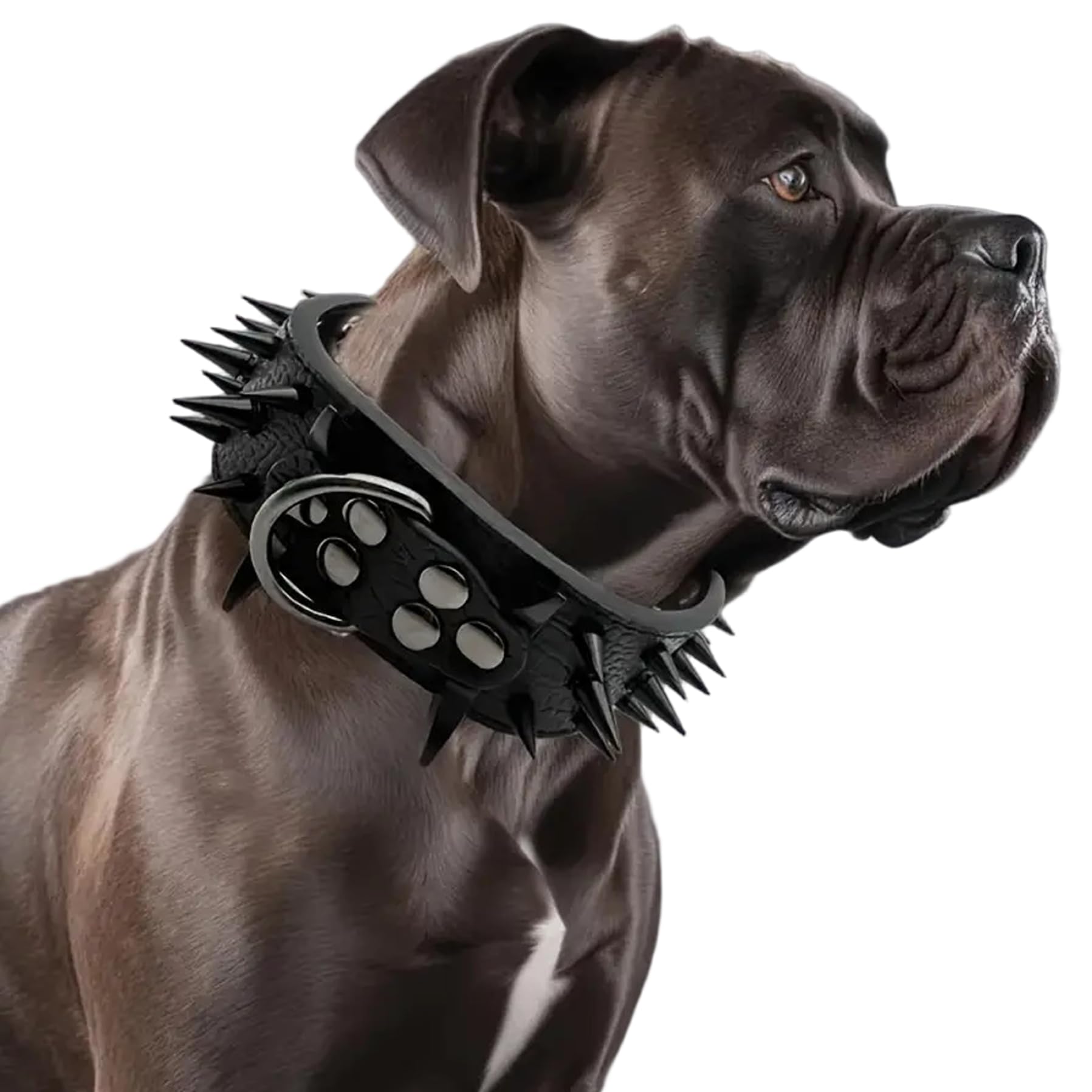 Collier pour chien à pointes anti-traction en cuir PU large réglable avec anneau de fixation D