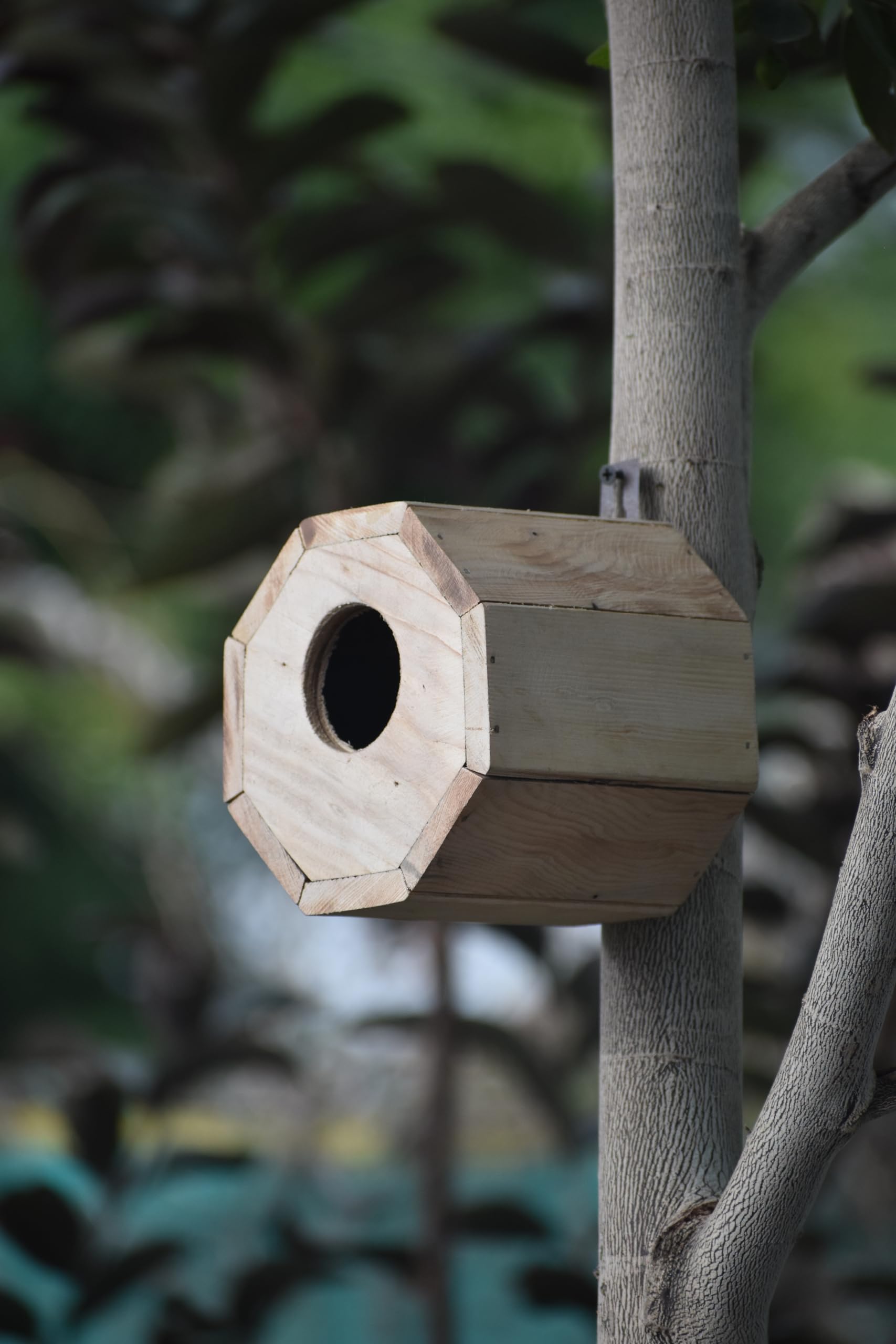 Wooden Sparrow Bird House Wall Mount Bird Cage 17 x 17 x 17 cm No-9