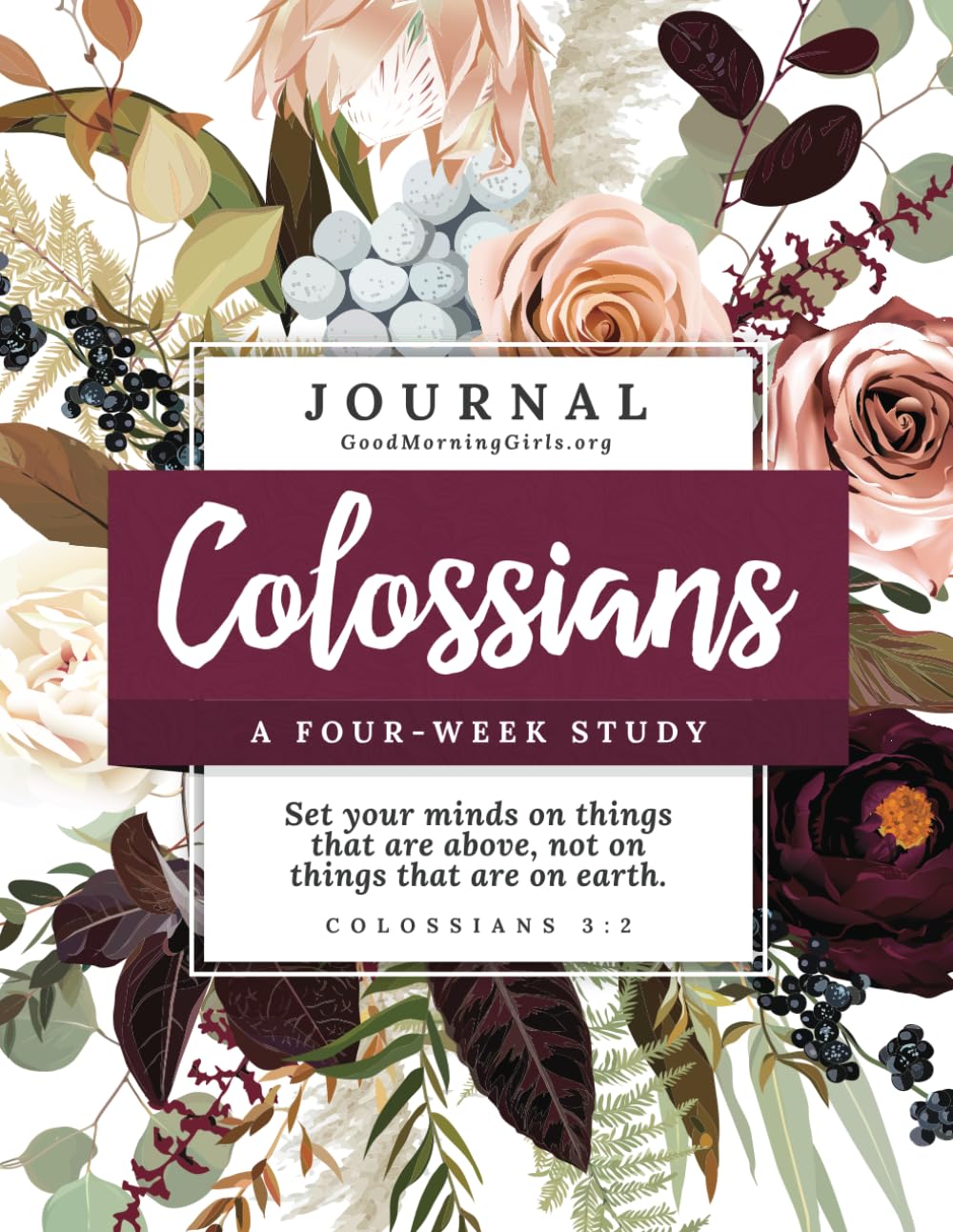 Colossians: A Four-Week Study