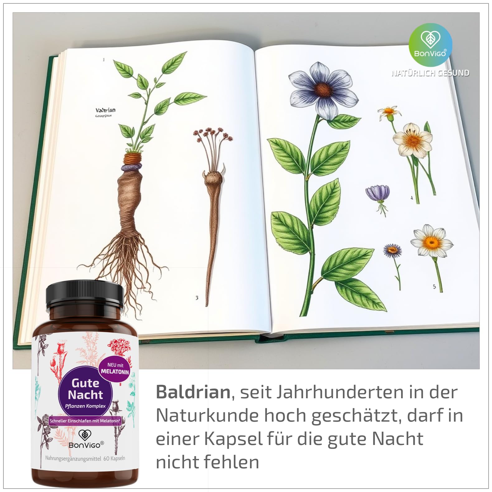 Gute Nacht Kapseln - Jetzt verbessert: Schneller einschlafen mit Melatonin* - Wertvolle Pflanzen-Extrakte Passionsblume und Baldrian - B-Vitamine für Nerven, Herz, Hormone** (2)