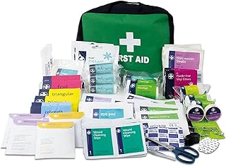 Lewis-Plast First Aid Kit Bag - 309 Piece Survival Kits - Sa