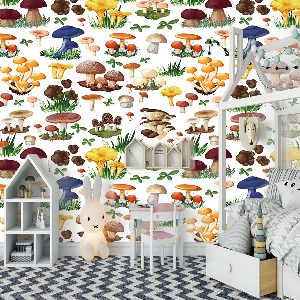 Papier peint panoramique trompe l'oeil 3D champignon salon 250x175cm