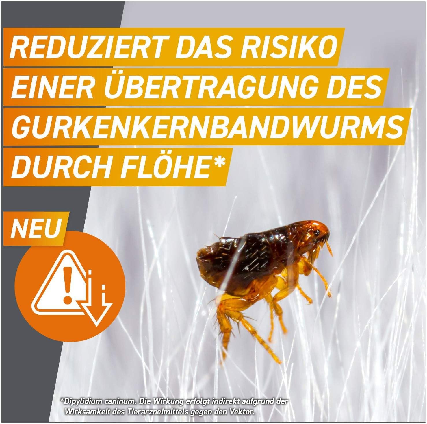 Frontpro 68 mg für Hunde 10-25 kg 3 Kautabletten + gratis Fellhandschuh