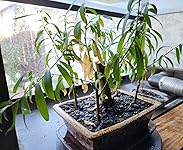 Review Image by Ken Hecker Ken Hecker