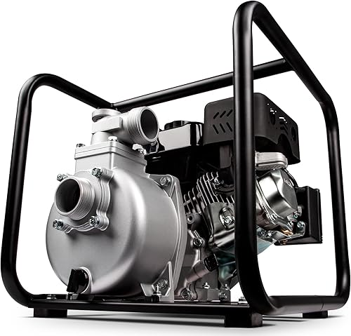 Red Lion 6RLAG-2LST 208cc, 150 GPM OHV Bomba de basura de aluminio accionada por motor, succión y descarga MNPT de 2 pulgadas, negro, 617034