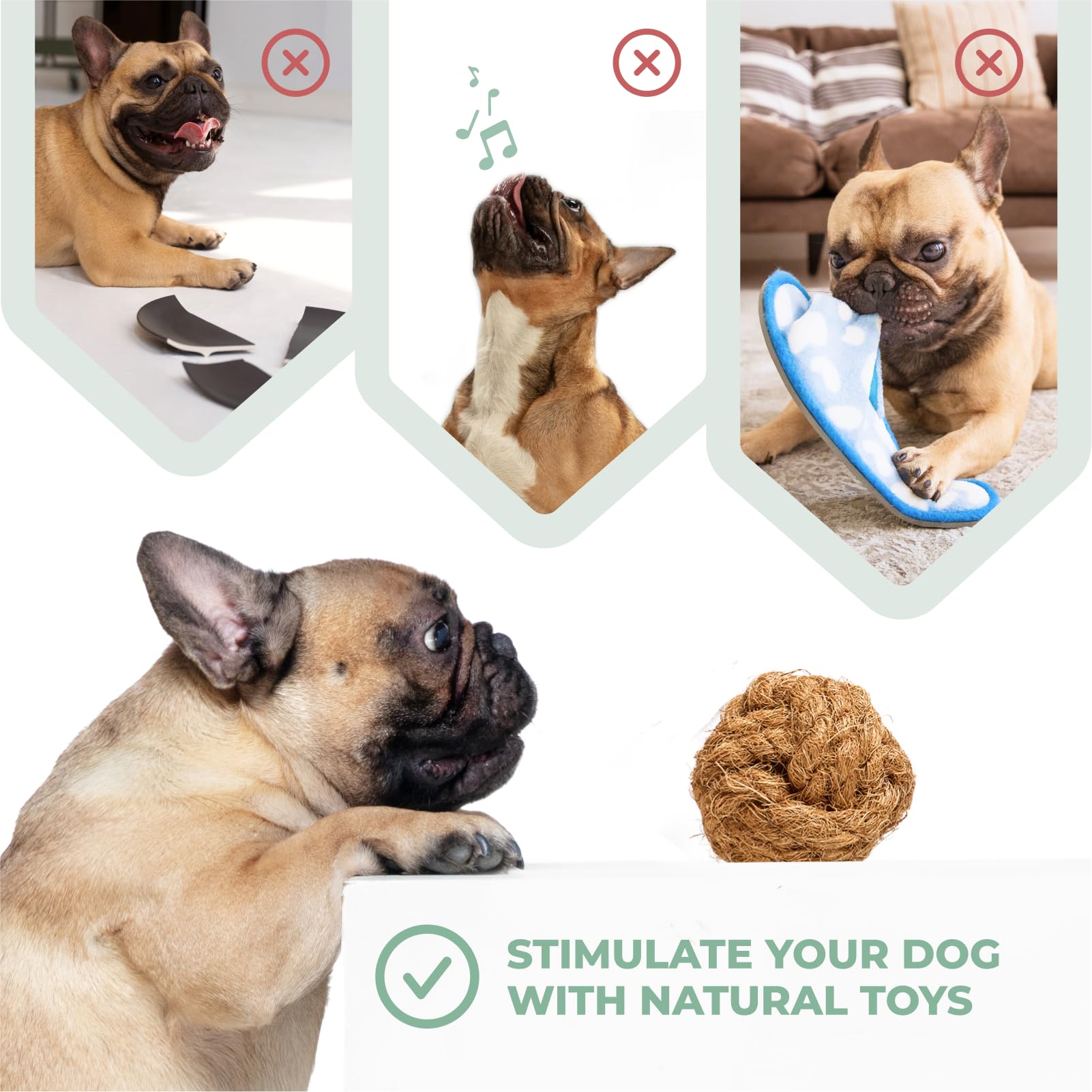 Alfred & Beebee Juguetes dentales y masticables de madera de café natural para perros, paquete de 4, S-M | Masticable y juguete de madera de café, paquete de 4. 100% natural, no tóxico y ecológico, para perros pequeños y medianos