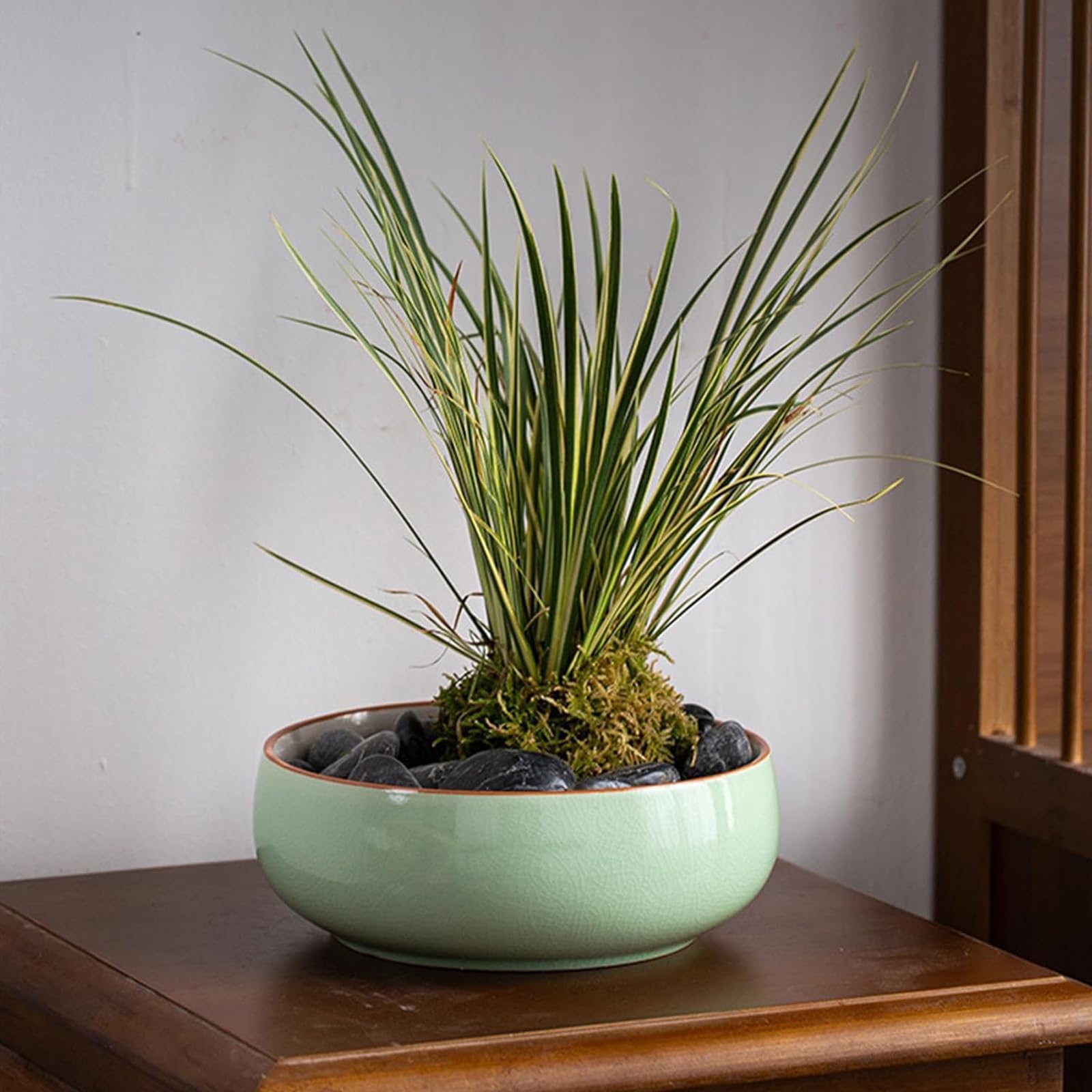 Pot de fleurs de lotus en céramique pour intérieur et extérieur, bol de lotus hydroponique pour plantes succulentes, bonsaï, graines de lotus, idéal pour plantes hydroponiques (type D)